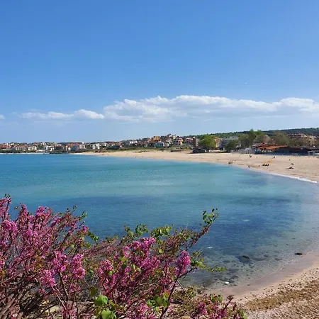 семеен амон ра 호텔 3*